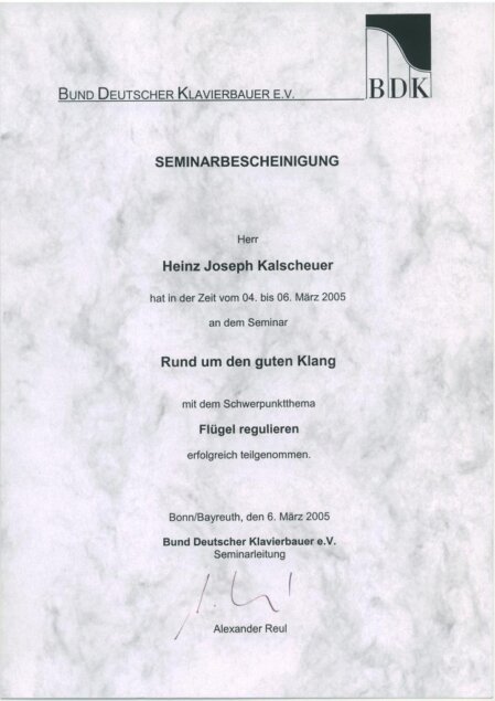 BDK Steingräber Flügel regulieren Ganz tolle Firma in Bayreuth