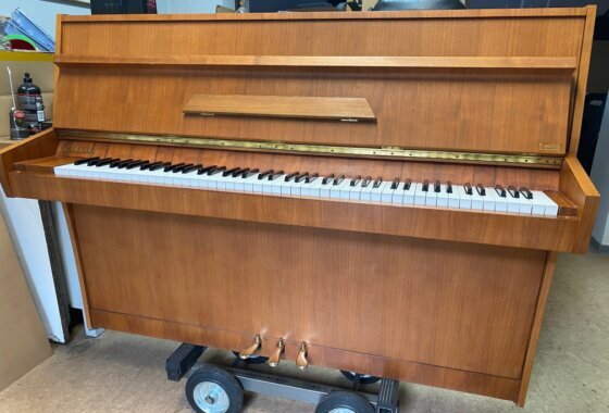 Calisia M-105 Nussbaum satiniert Komplett mit sieben Jahren Garantie